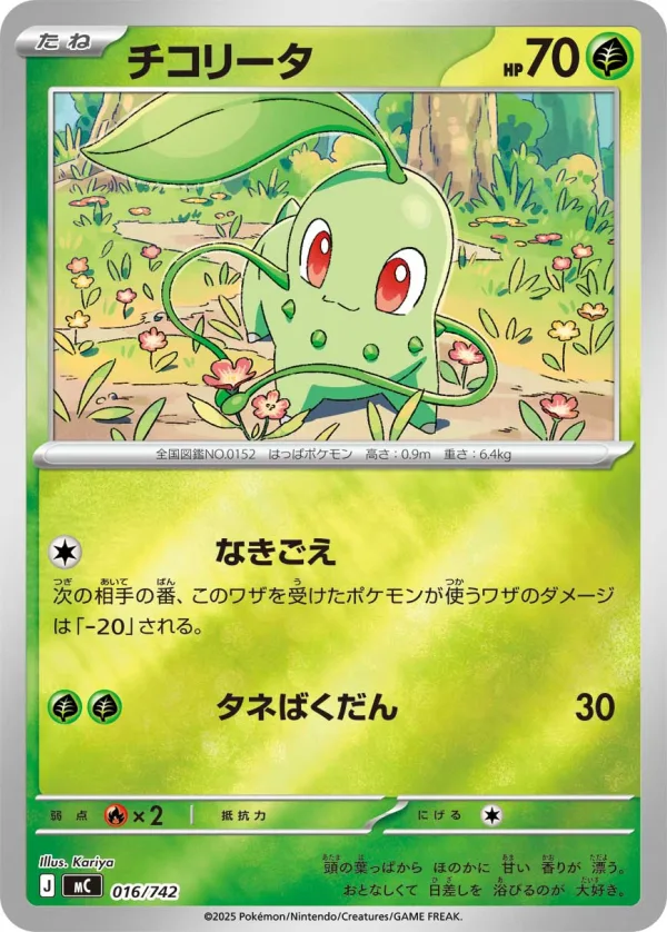 チコリータ